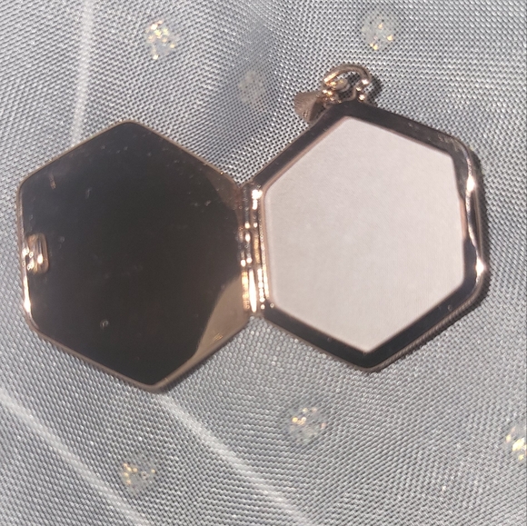 Stella & Dot Rose Gold Locket - Picture 3 of 4